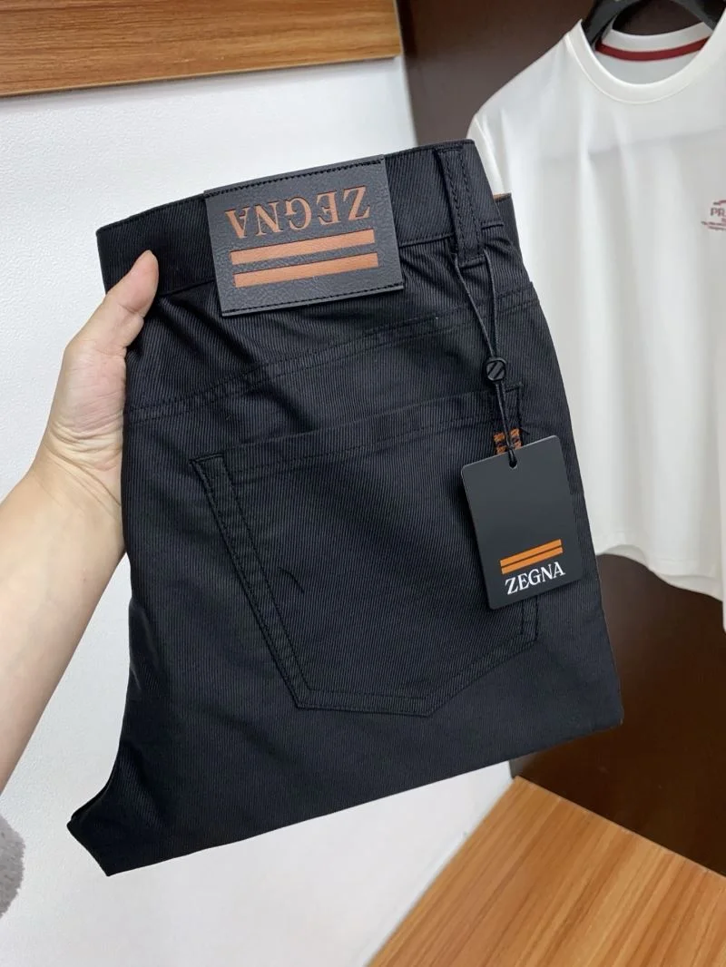 EasyCare Ermenegildo Zegna Long Pants 162933