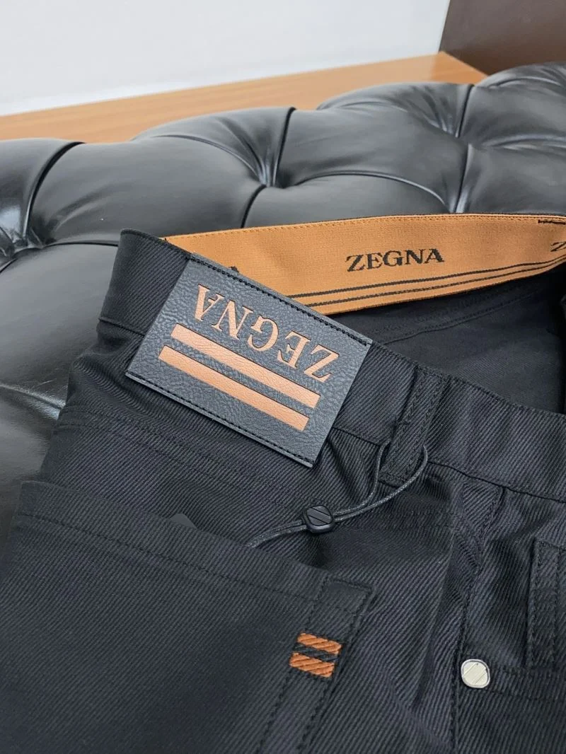 EasyCare Ermenegildo Zegna Long Pants 162933