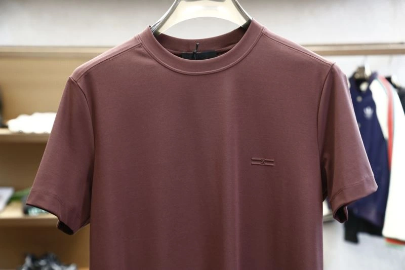 Ermenegildo Zegna T-Shirts GoAnywhere 160671
