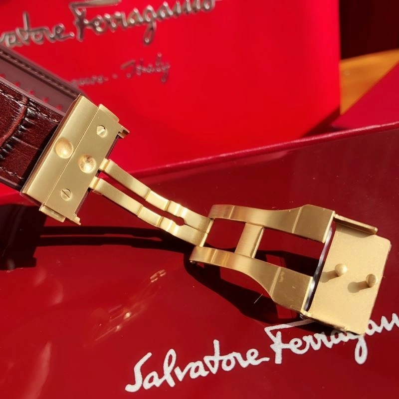 DailyWear FERRAGAMO Watches 182326