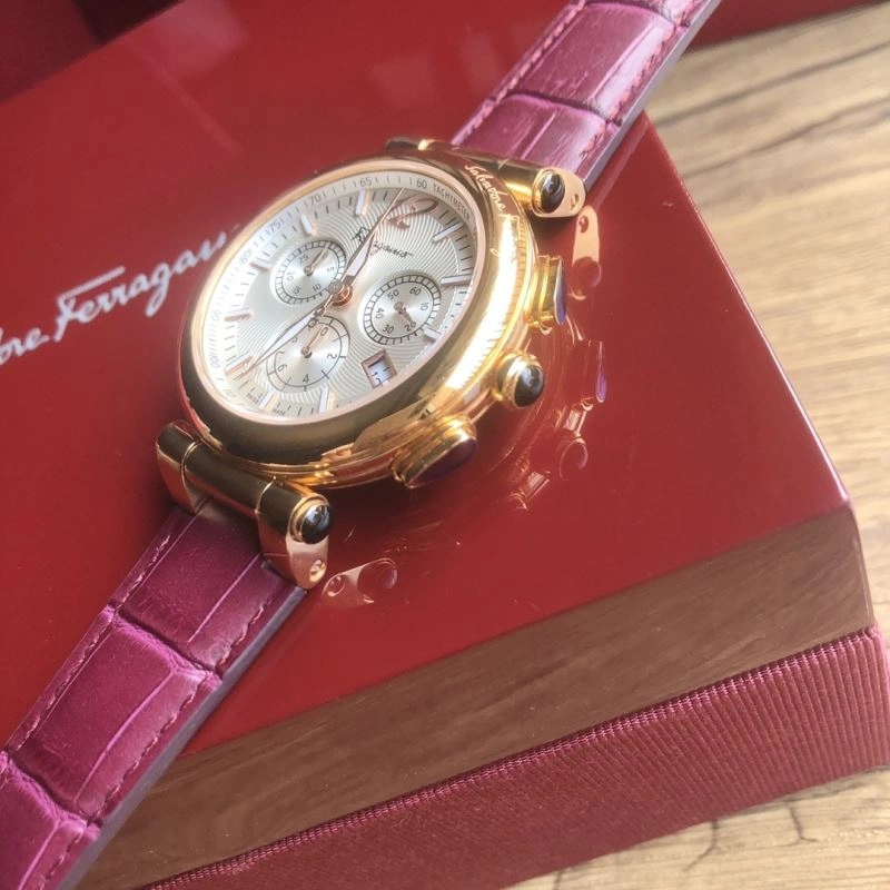 FERRAGAMO Watches Efficient 182259