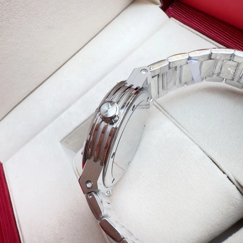 FERRAGAMO Watches Vibrant 182249