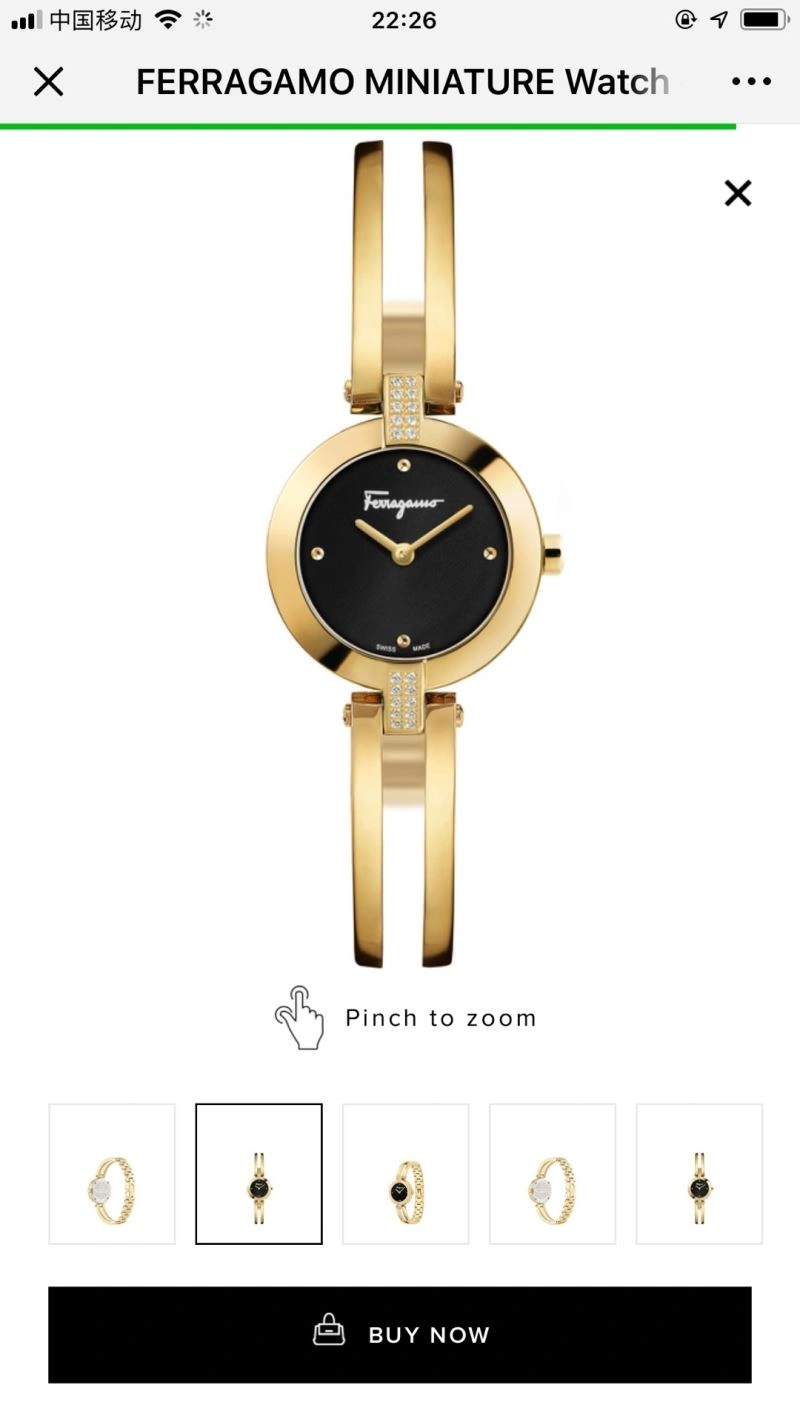 Thermal FERRAGAMO Watches 182221