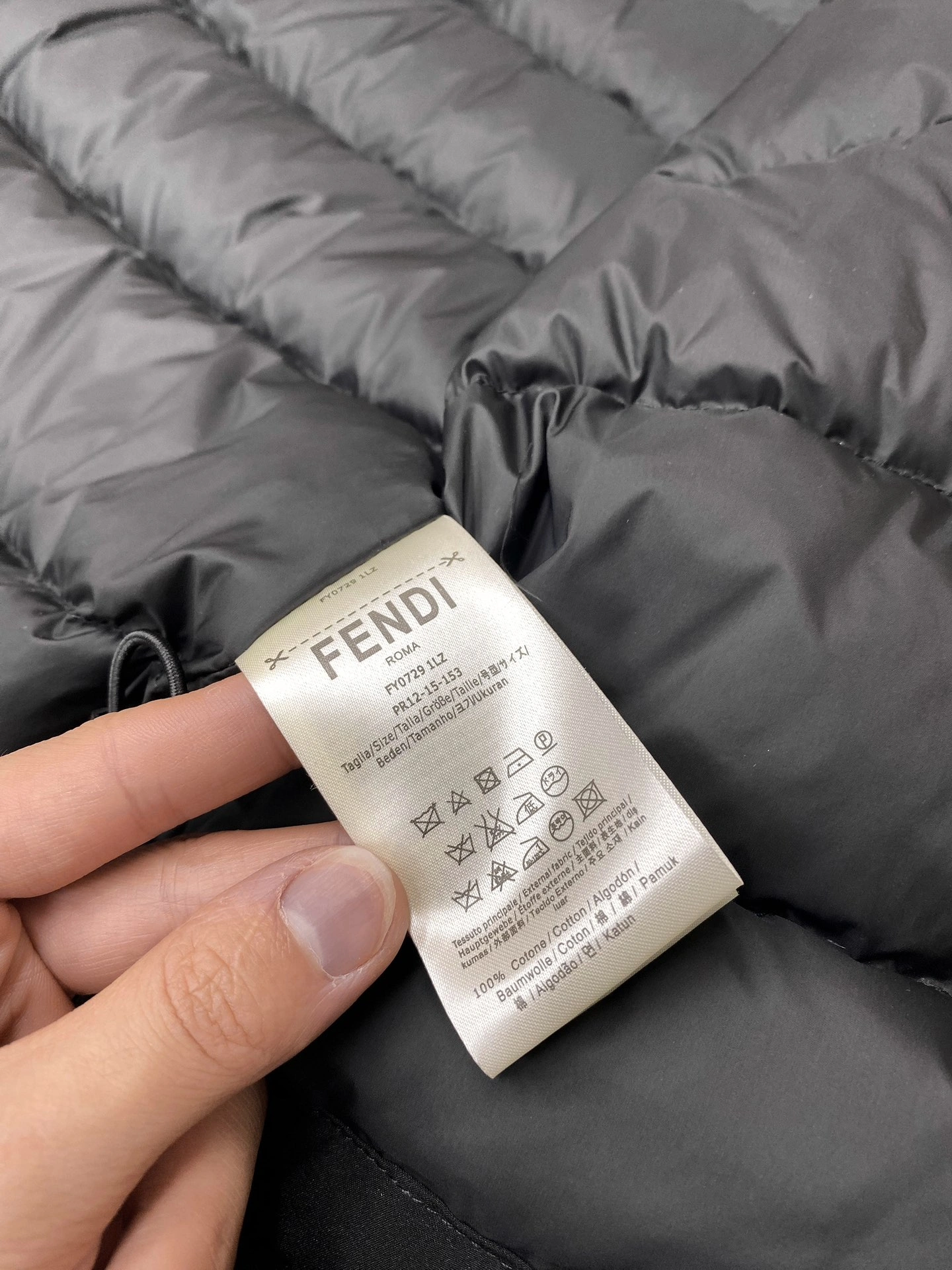 Fendi Down Jackets TravelReady 123491