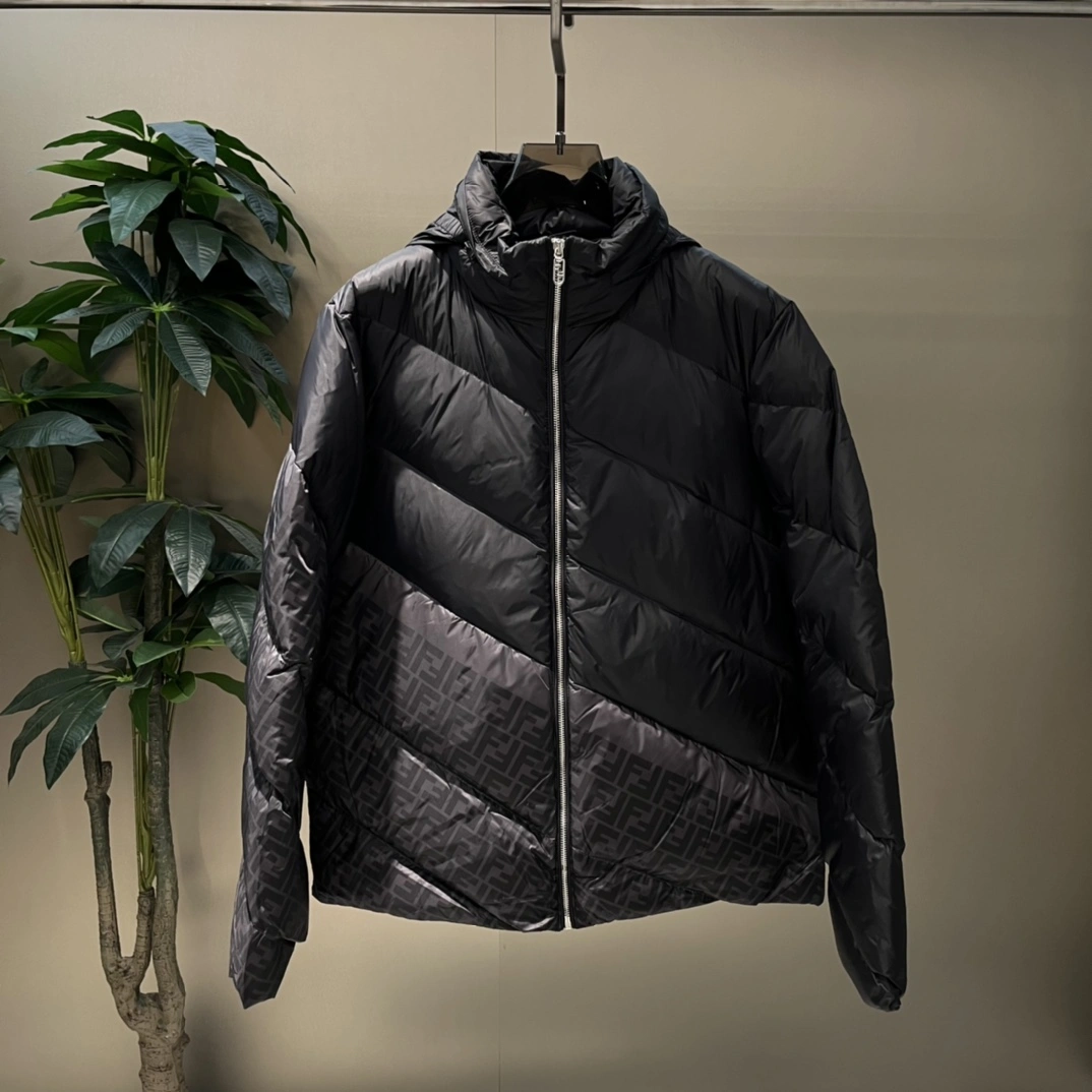 Fendi Down Jackets OdorResistant 123444