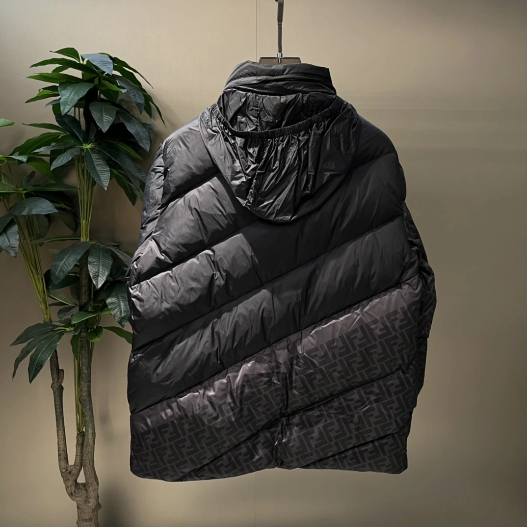 Fendi Down Jackets OdorResistant 123444