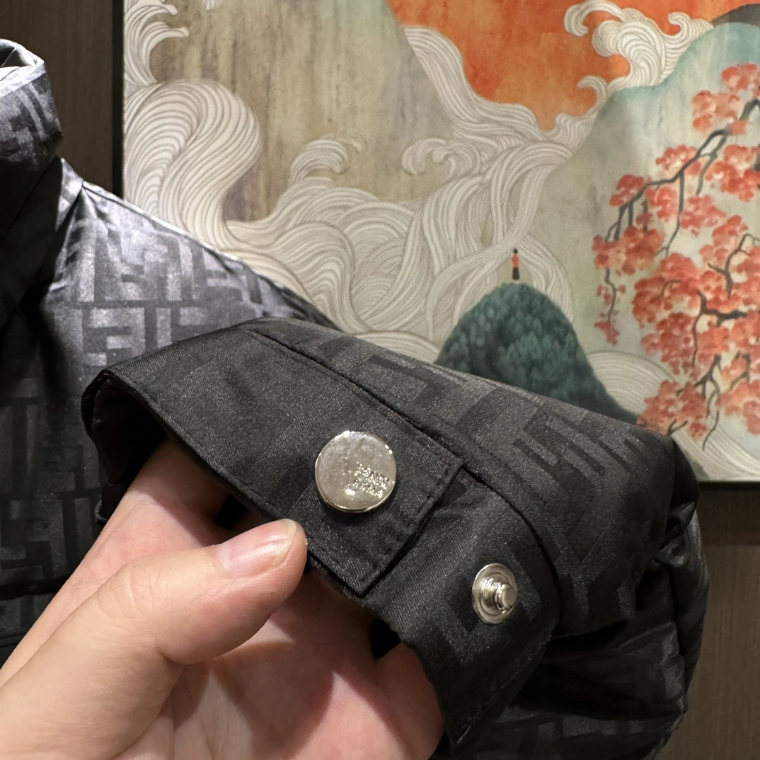 Modern Fendi Down Jackets 123440