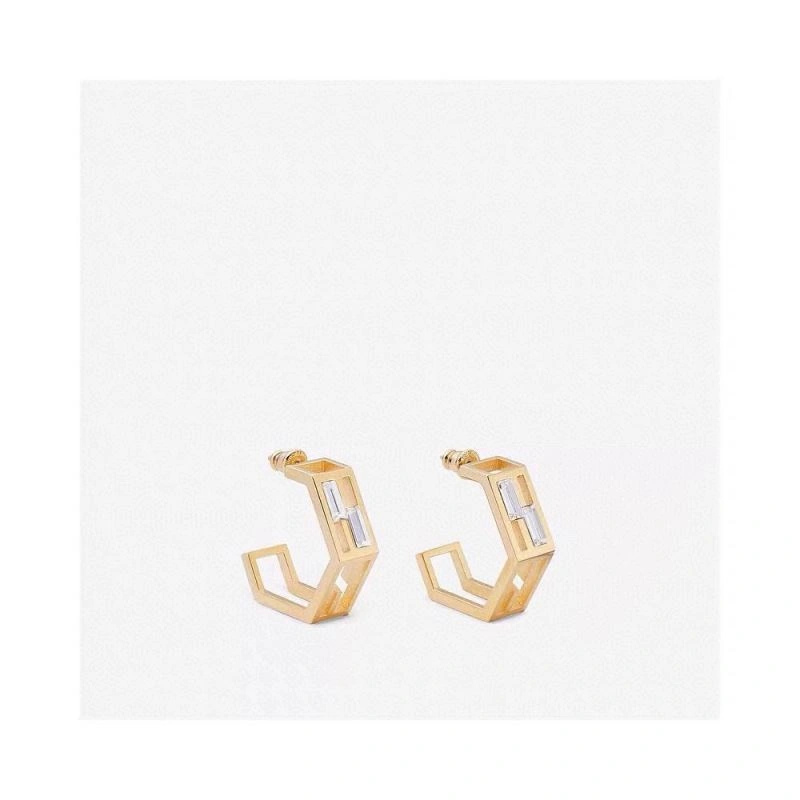 Fendi Earrings Reliable 213971