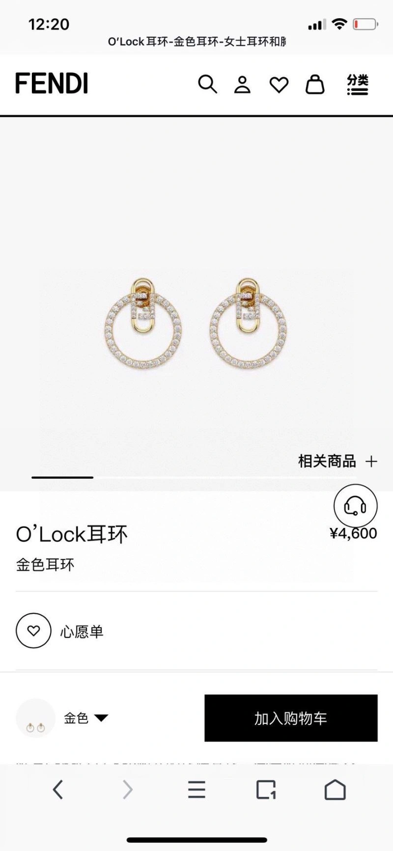 Fendi Earrings SportInspired 214620