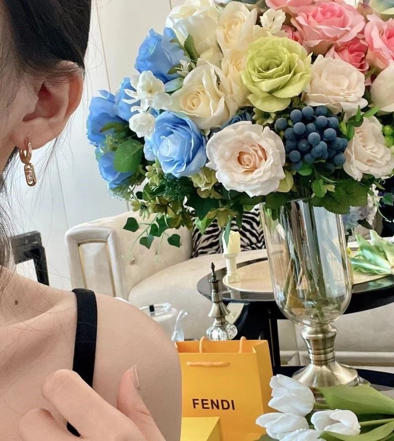 Comfortable Fendi Earrings 208797