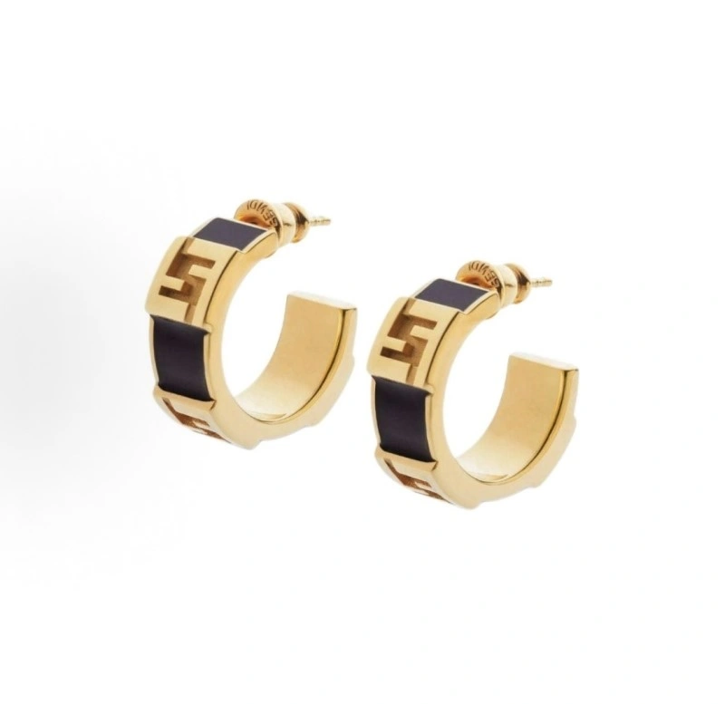 Sophisticated Fendi Earrings 208768