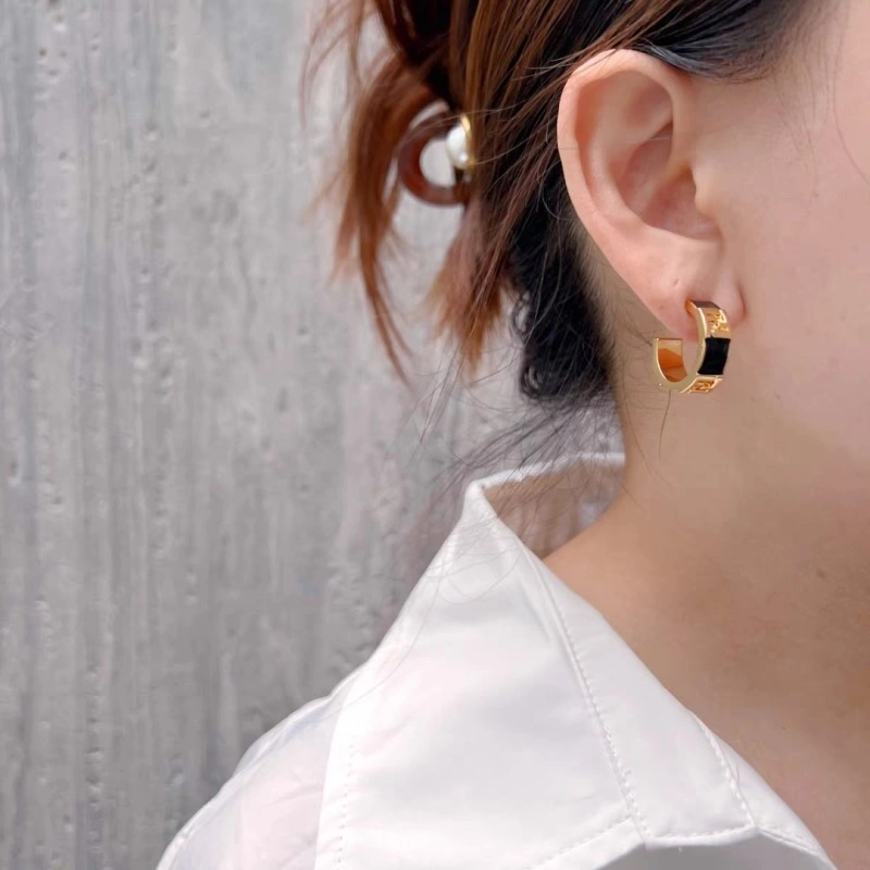 ZipUp Fendi Earrings 208071