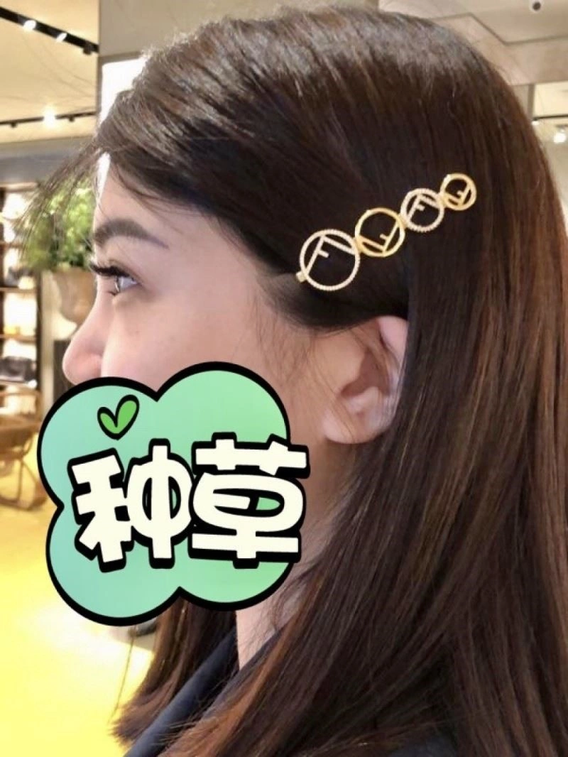 Minimalist Fendi Hairpins 209351