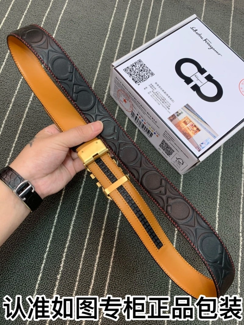 FreshLook Ferragamo Belts 287624