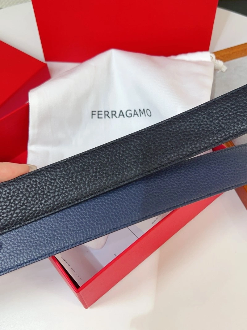 Resilient Ferragamo Belts 287579