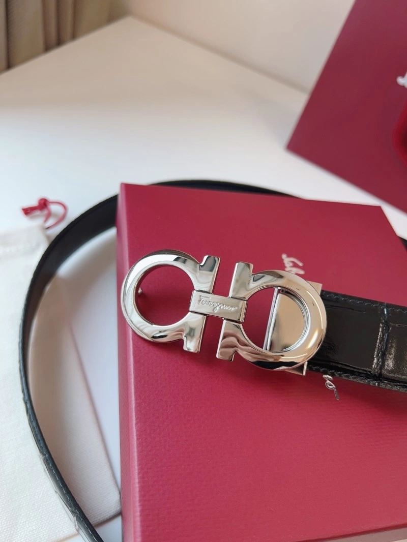 Ferragamo Belts Colorful 288929