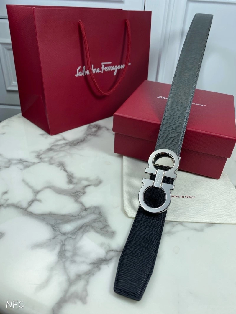 ZipUp Ferragamo Belts 288849
