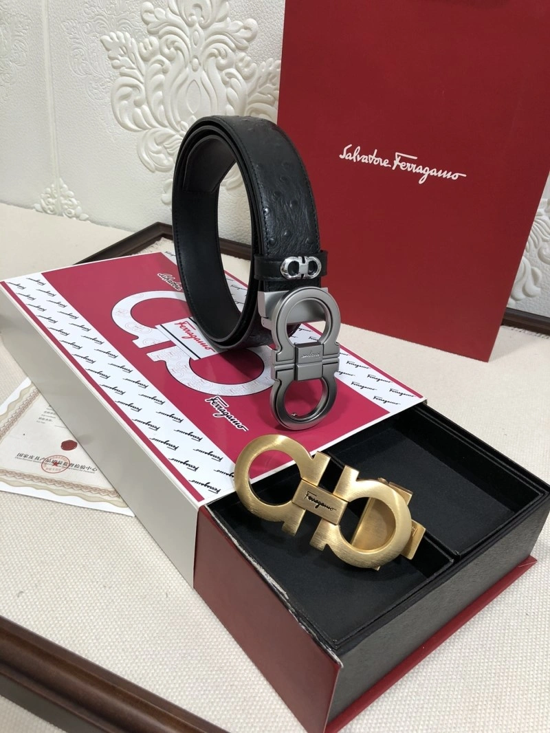 Ferragamo Belts Bright 288746