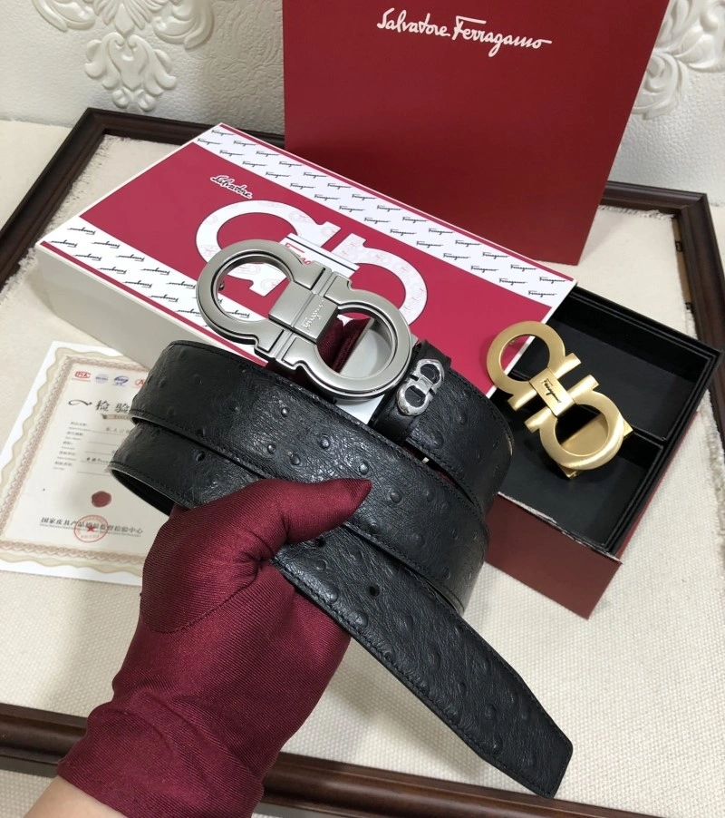 Ferragamo Belts Bright 288746