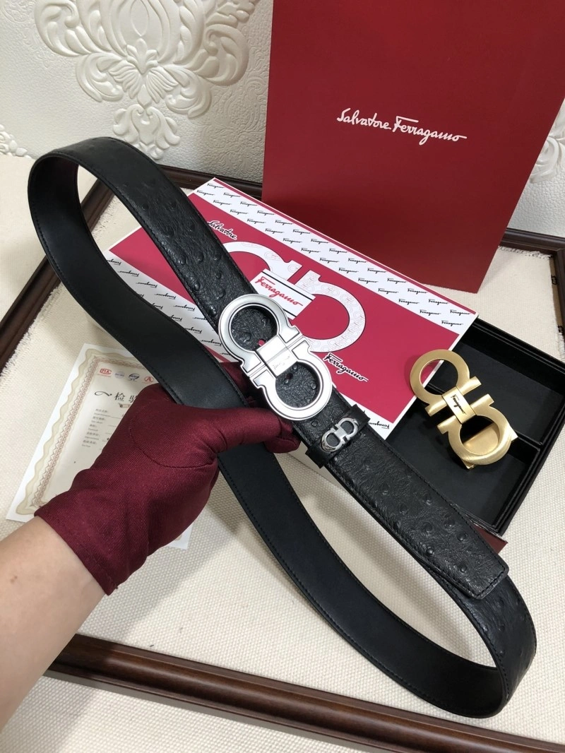 Ferragamo Belts Bright 288746