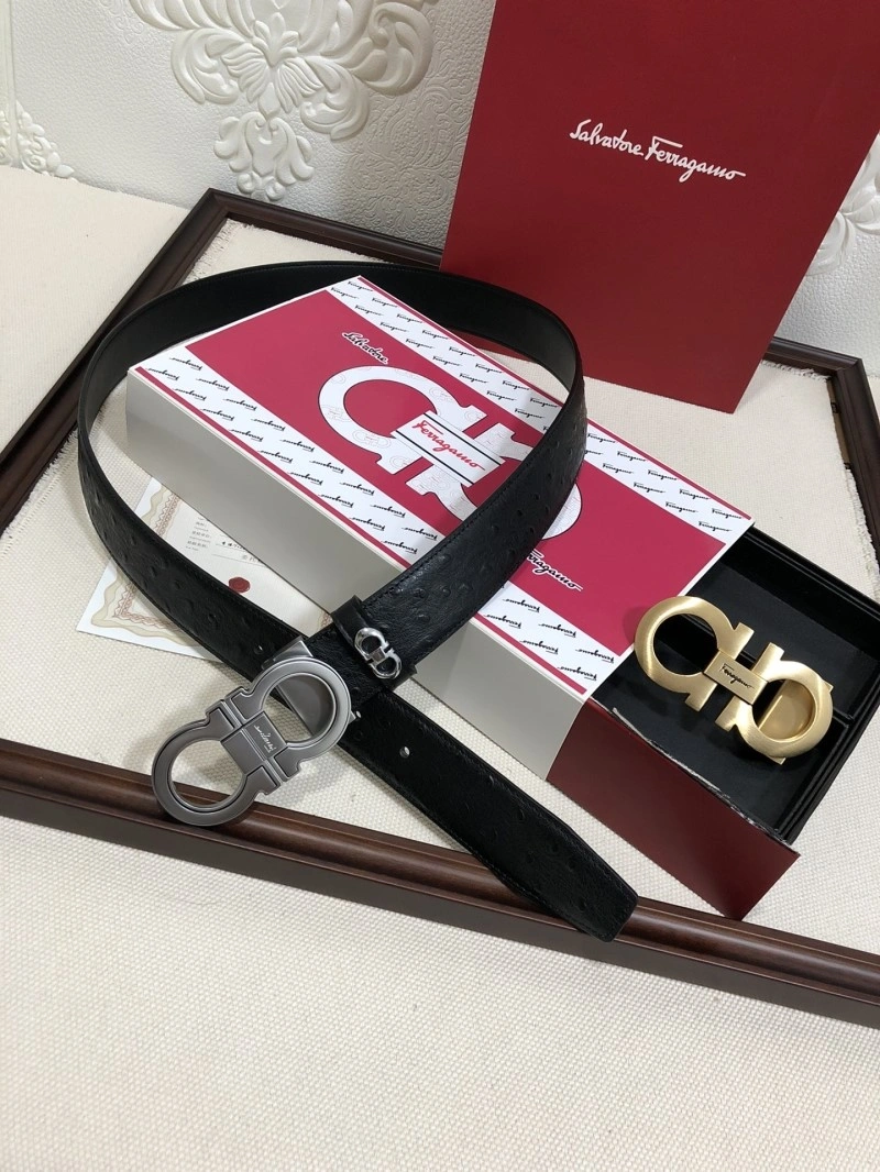 Ferragamo Belts Bright 288746