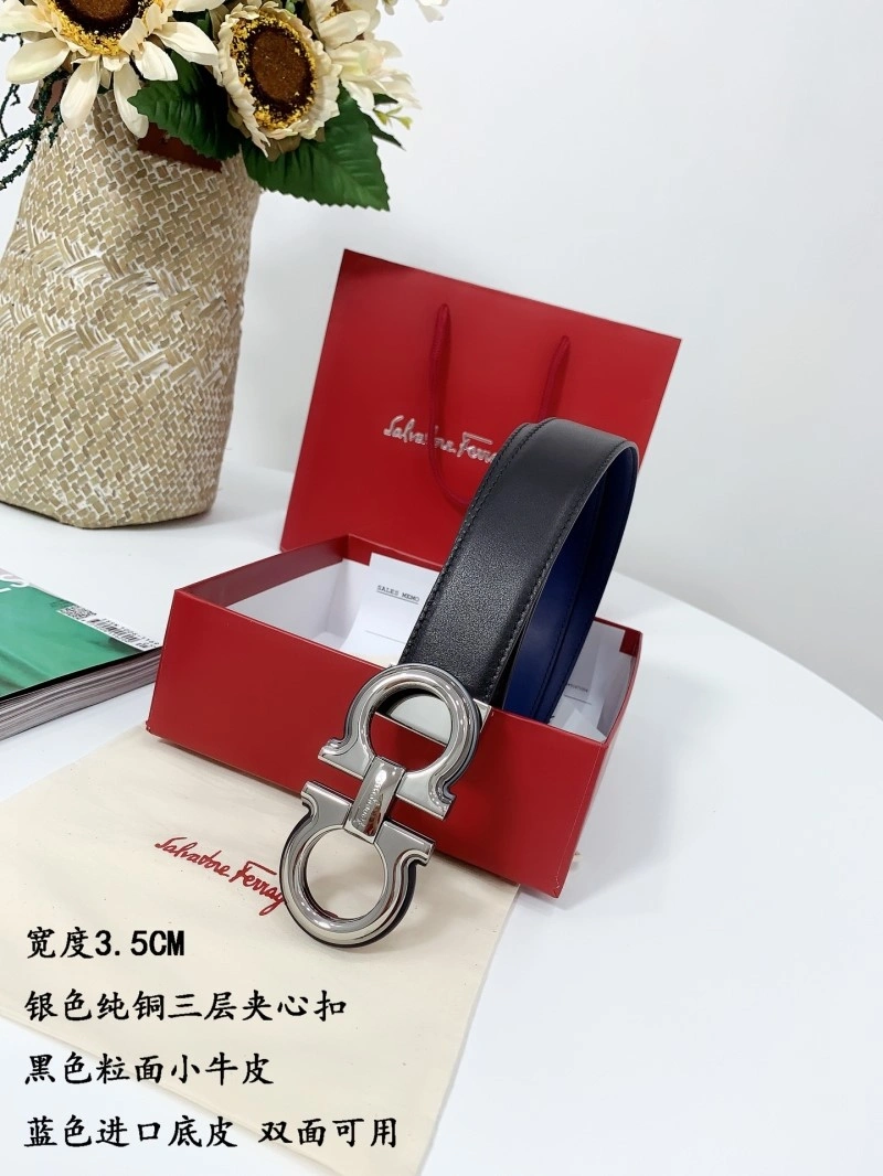 EasyCare Ferragamo Belts 288707