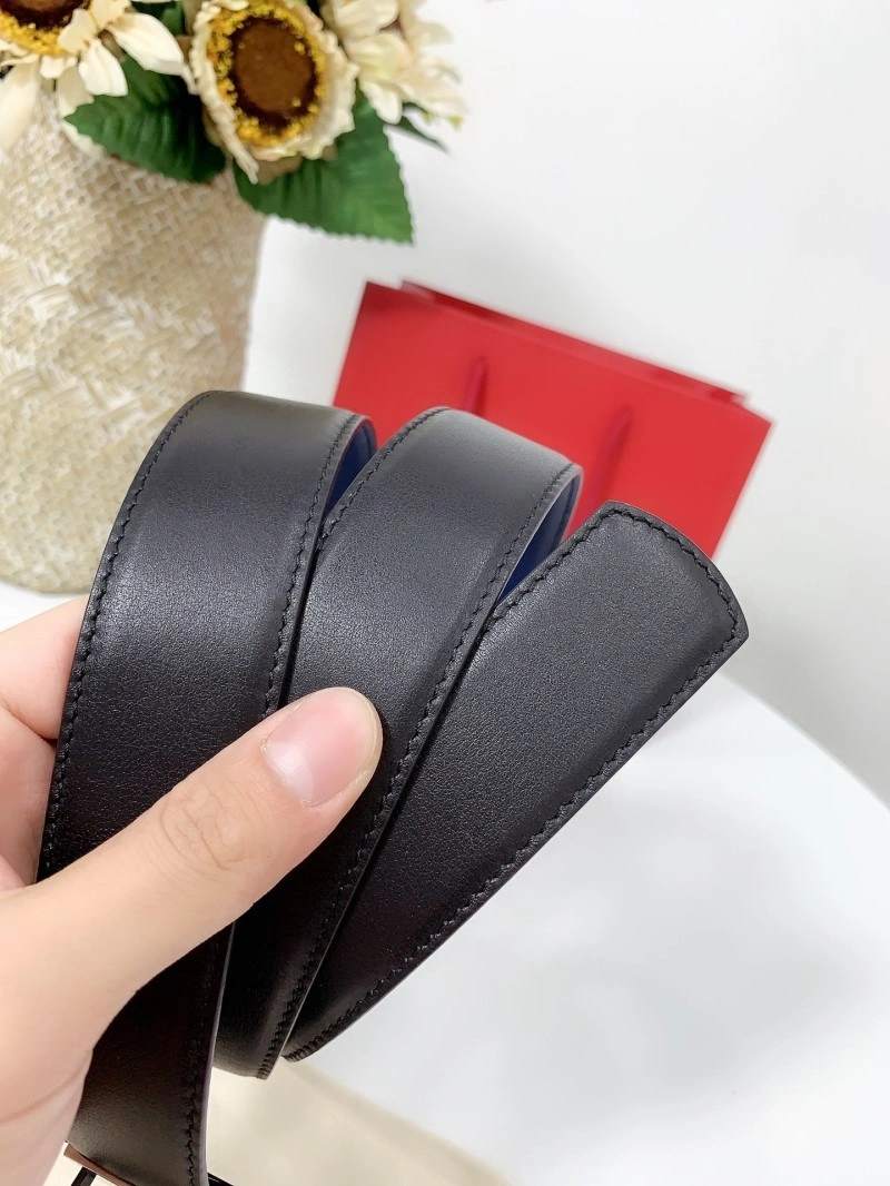 EasyCare Ferragamo Belts 288707