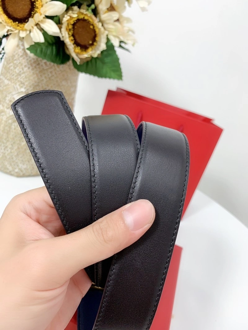DailyWear Ferragamo Belts 288708