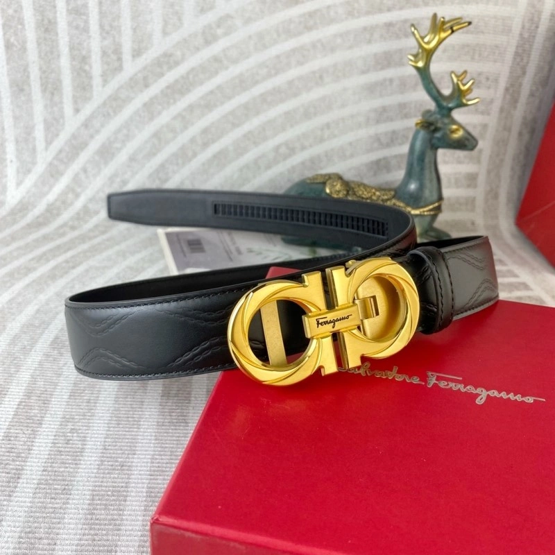 ZipUp Ferragamo Belts 288609