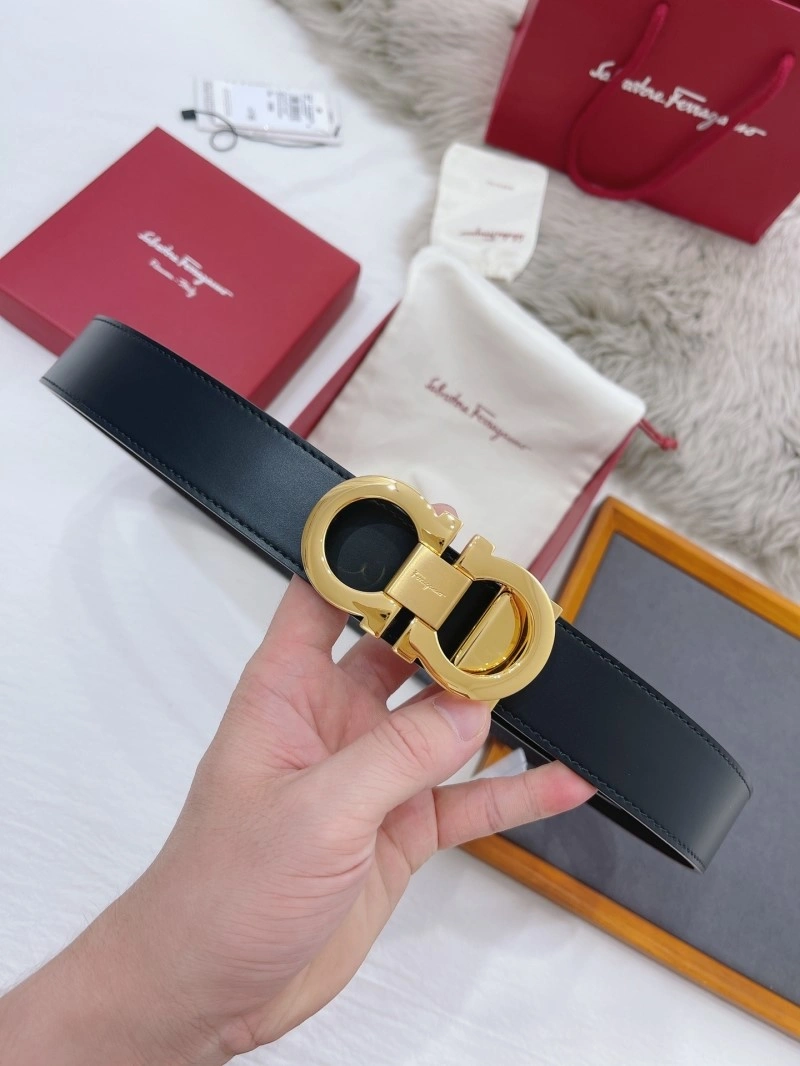 FreshLook Ferragamo Belts 288568