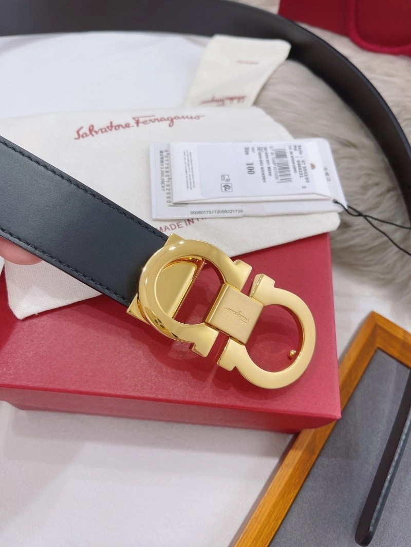 FreshLook Ferragamo Belts 288568