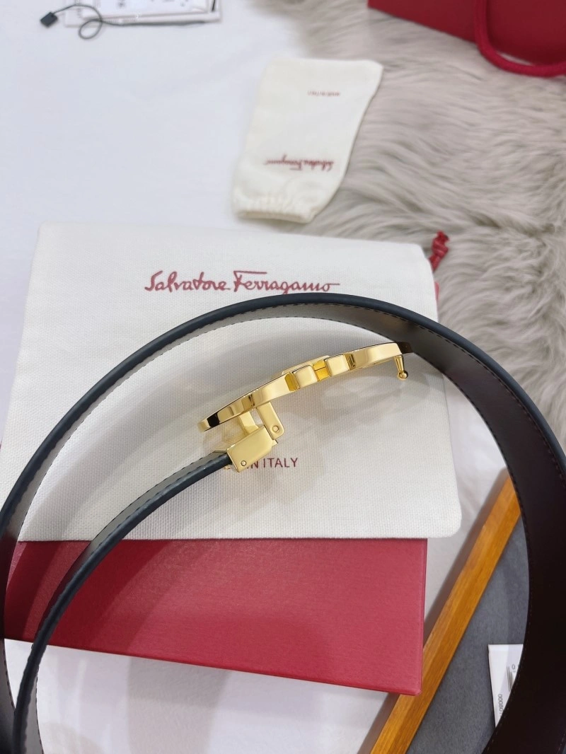 FreshLook Ferragamo Belts 288568