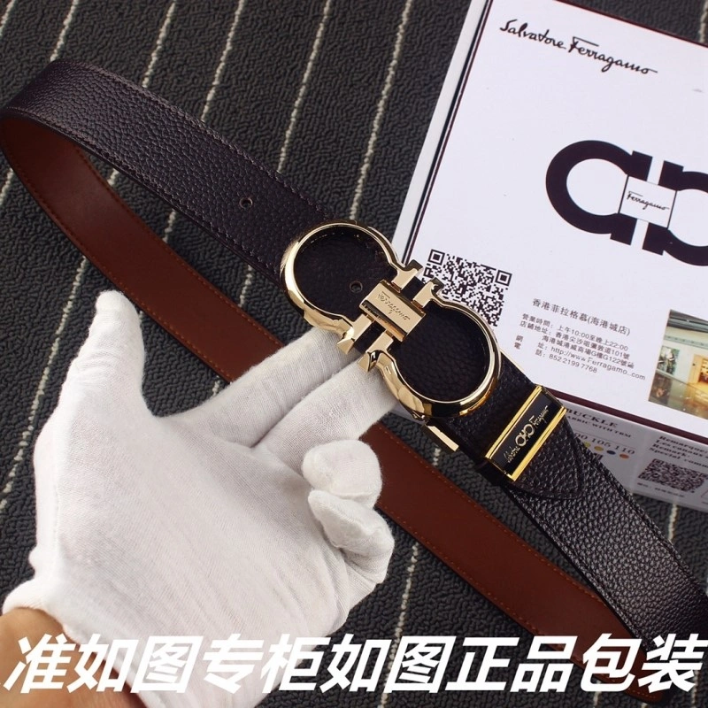 Resilient Ferragamo Belts 288489