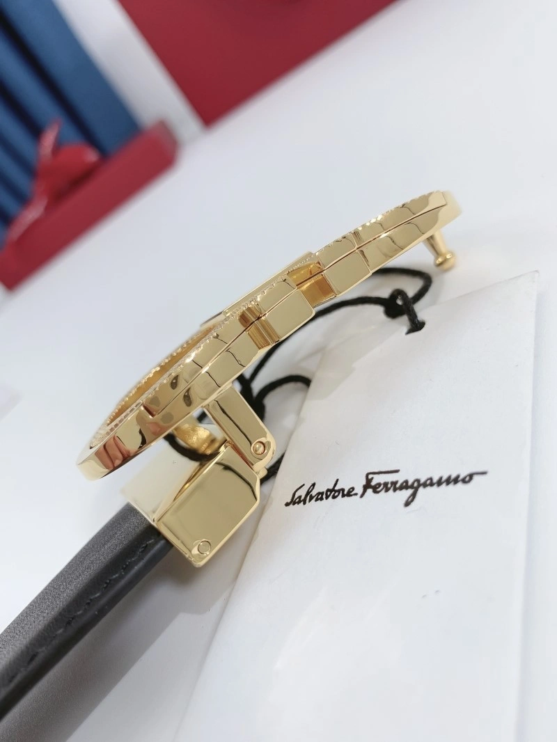 SmoothTexture Ferragamo Belts 288490