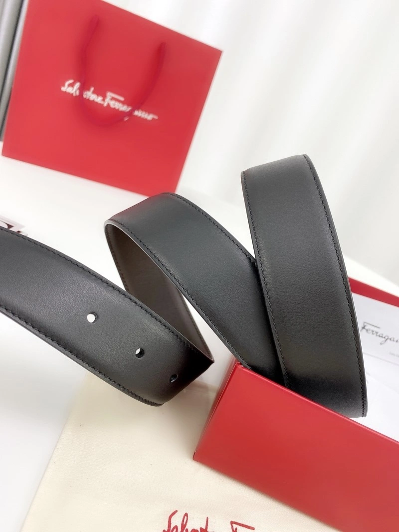DailyWear Ferragamo Belts 288471