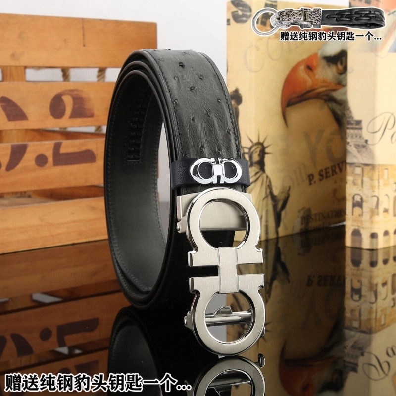 FreshLook Ferragamo Belts 288410