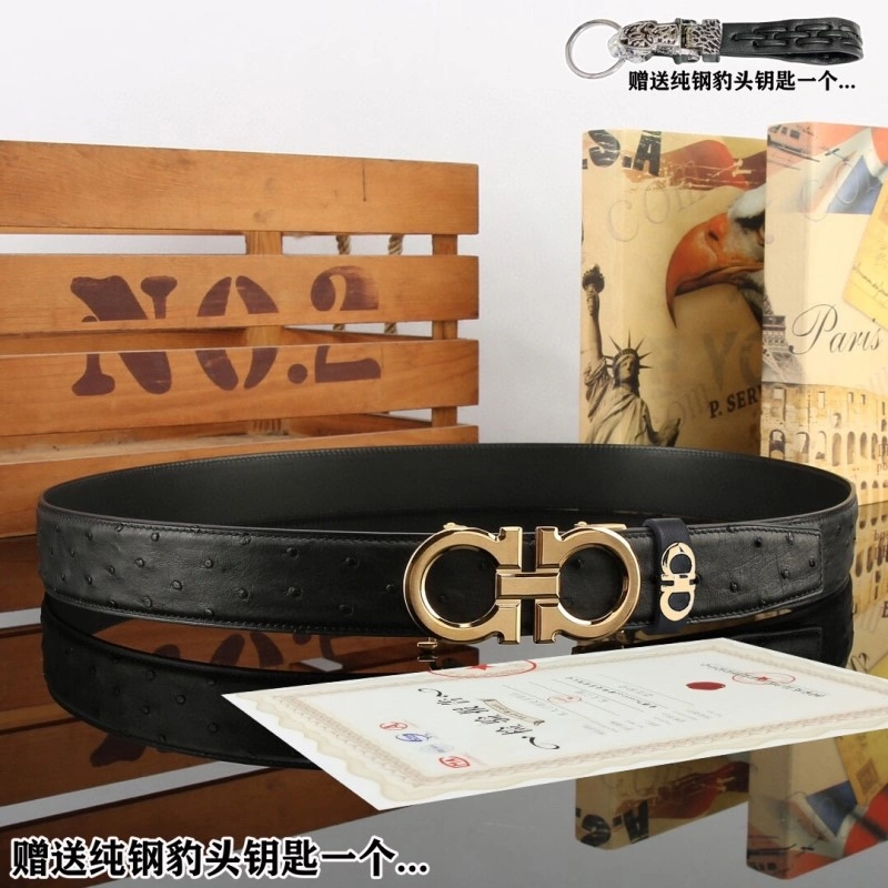 FreshLook Ferragamo Belts 288410