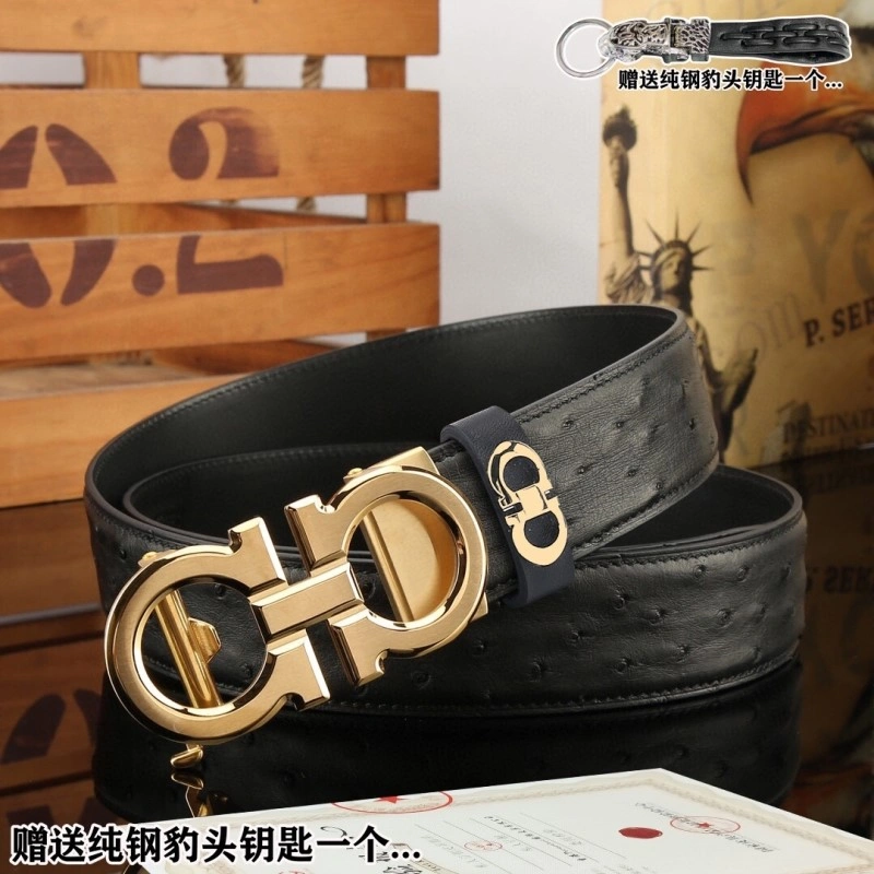 FreshLook Ferragamo Belts 288410