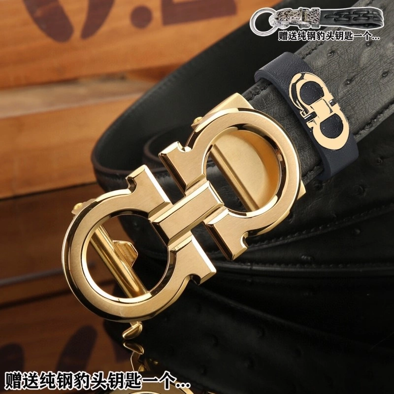 FreshLook Ferragamo Belts 288410