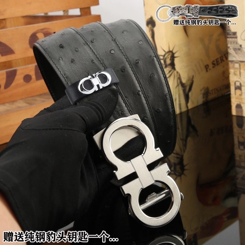 FreshLook Ferragamo Belts 288410