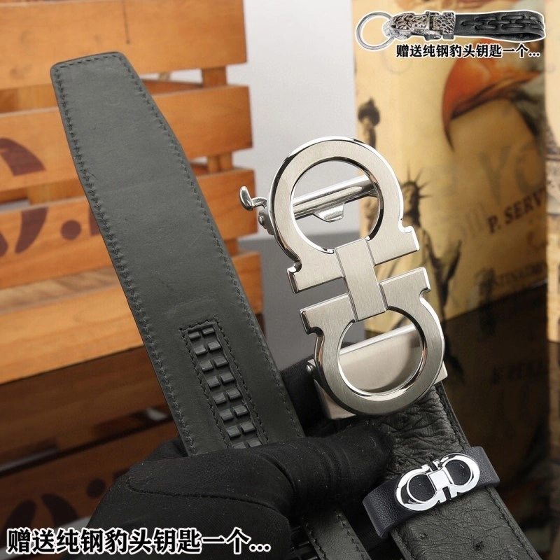 FreshLook Ferragamo Belts 288410