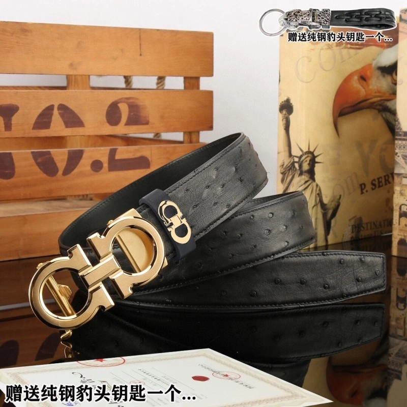 FreshLook Ferragamo Belts 288410