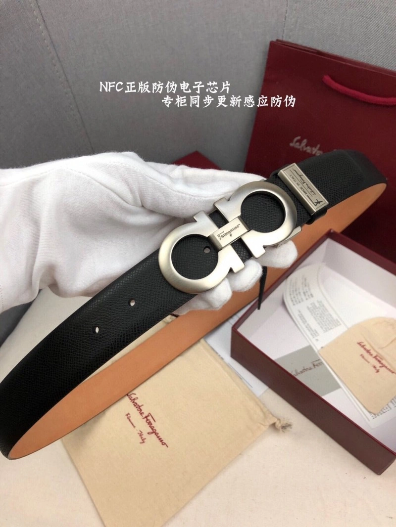 MultiPurpose Ferragamo Belts 288041