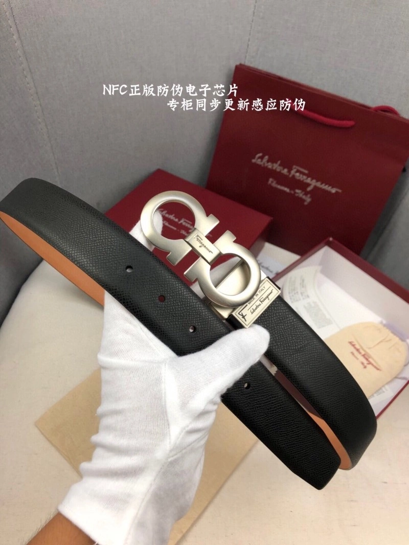 MultiPurpose Ferragamo Belts 288041