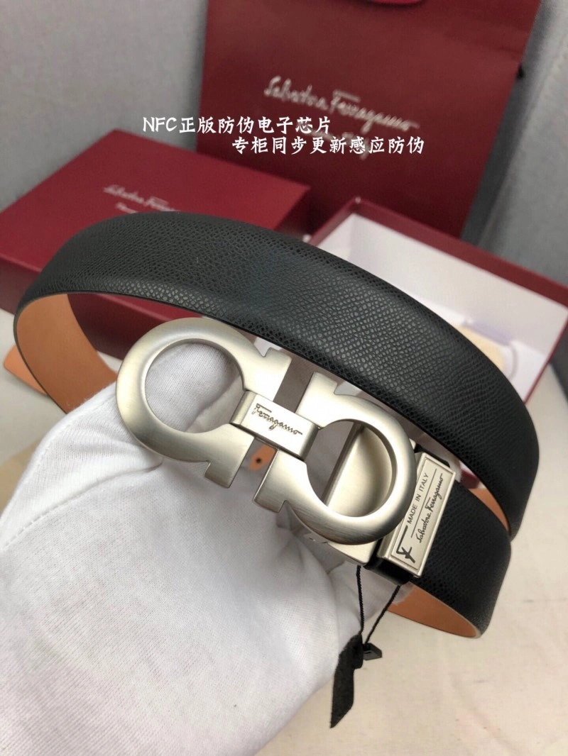MultiPurpose Ferragamo Belts 288041