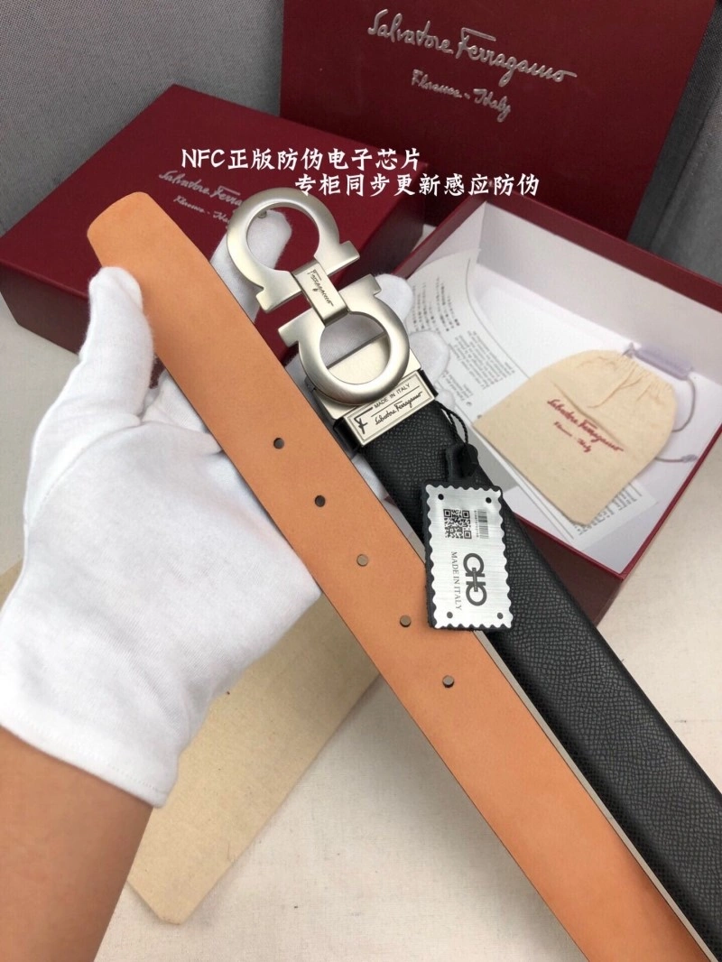 MultiPurpose Ferragamo Belts 288041