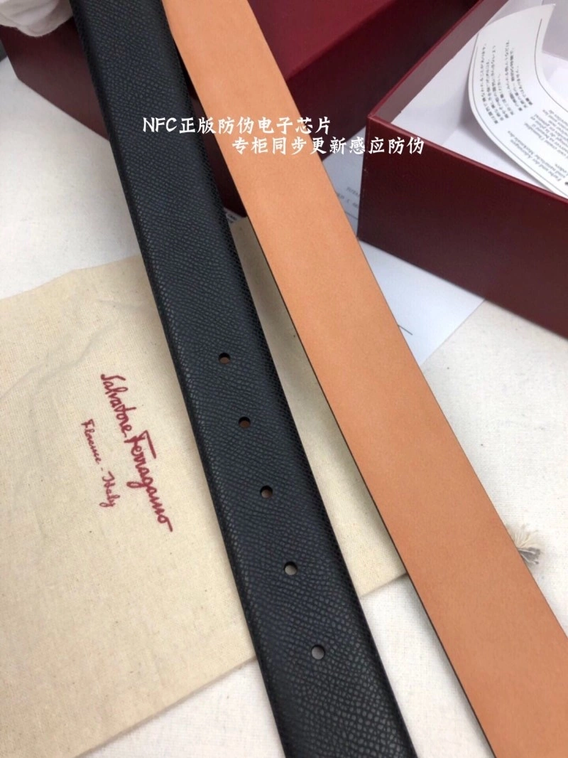 MultiPurpose Ferragamo Belts 288041