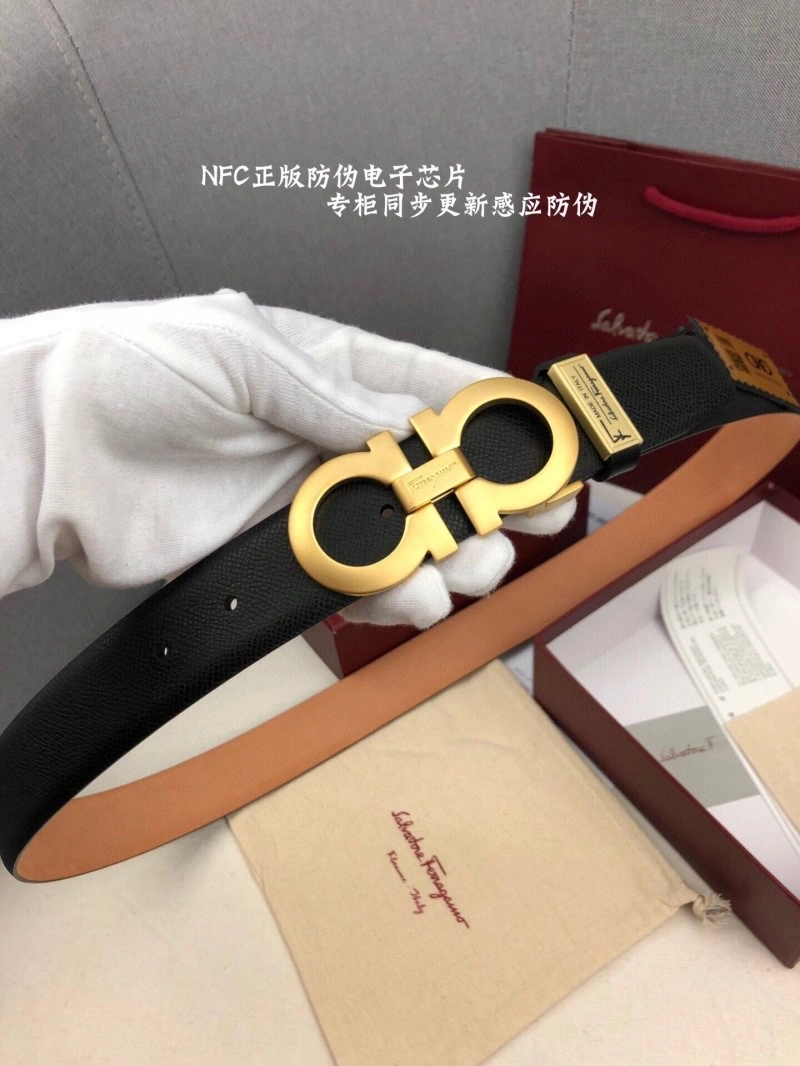 Resilient Ferragamo Belts 288064