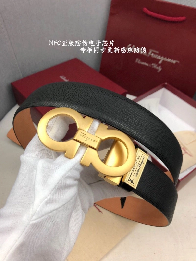Resilient Ferragamo Belts 288064