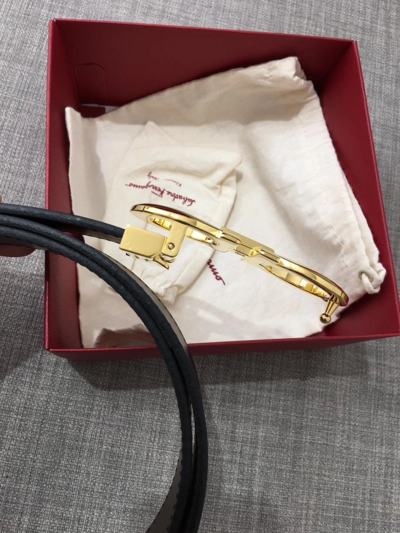 Ferragamo Belts MultiPurpose 288026